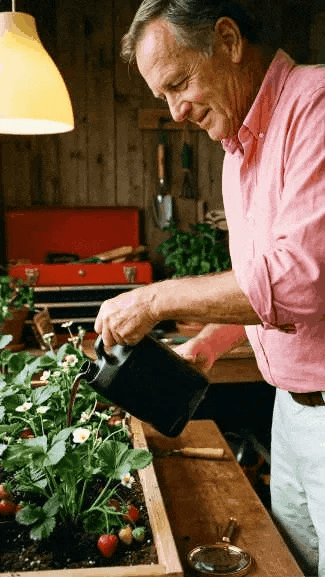 Plantele tale mor încet? Revitalizează-le in doar cateva zile
